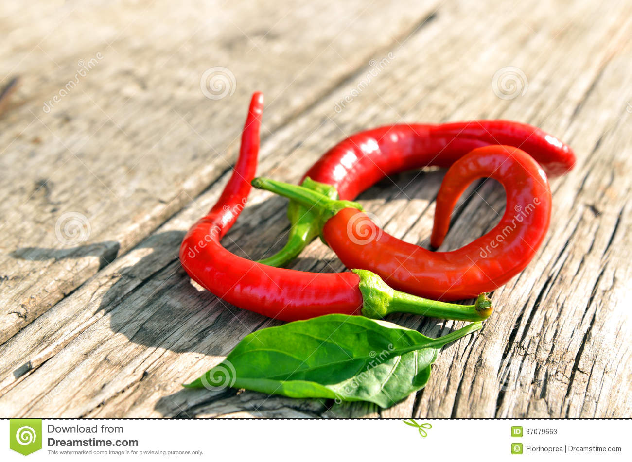 ‘BJL平台’《梦幻仙语》8月7日开启预下载,即将C位出道!(图4) BJL平台集团