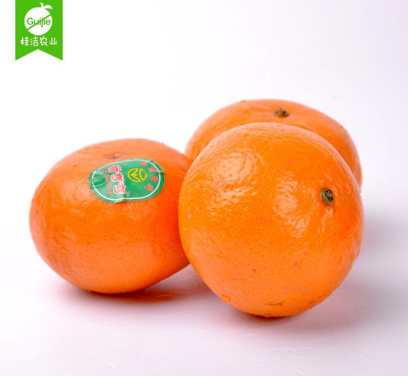 《魂之刃》超凶boss屠戮计划:腐烂分身帕吉|BJL平台(图1) BJL平台