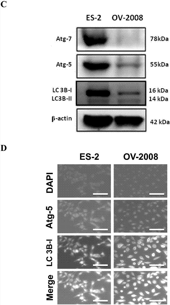 BJL平台集团-讽山云